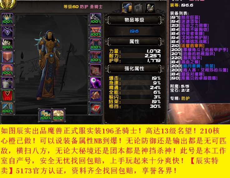★辰实特卖★魔兽实装196圣骑士防惩双修双...