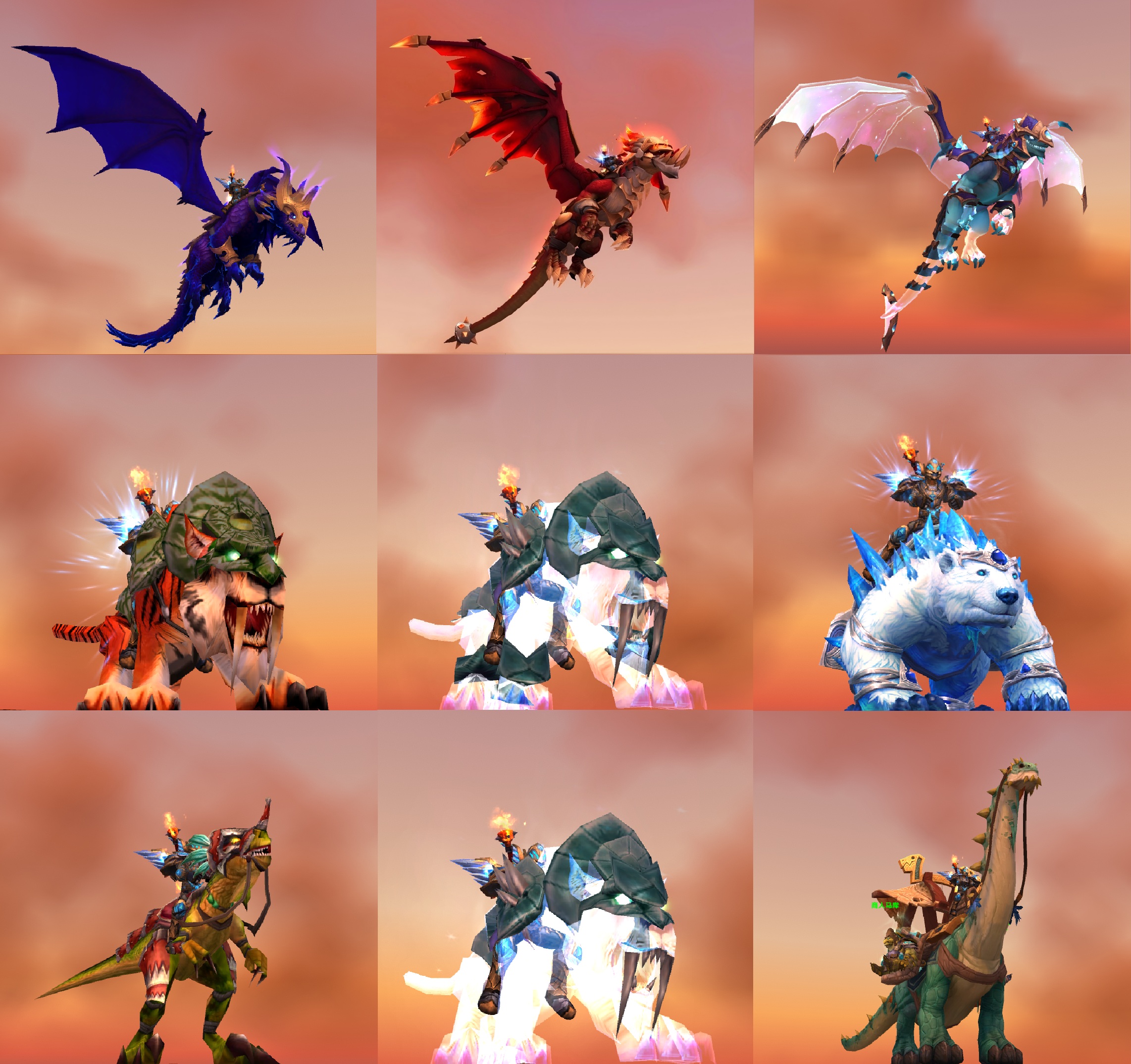 魔兽世界正式服实体原版号！大小幽灵虎猩红龙...