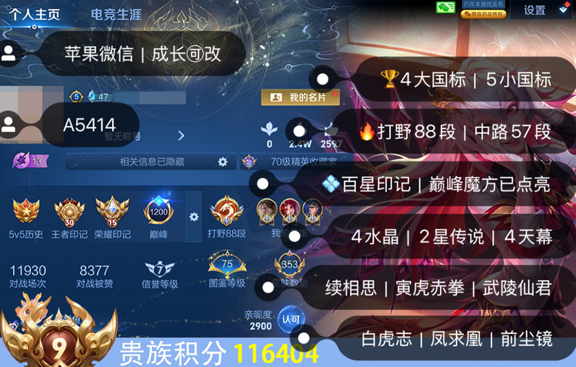 账号截图