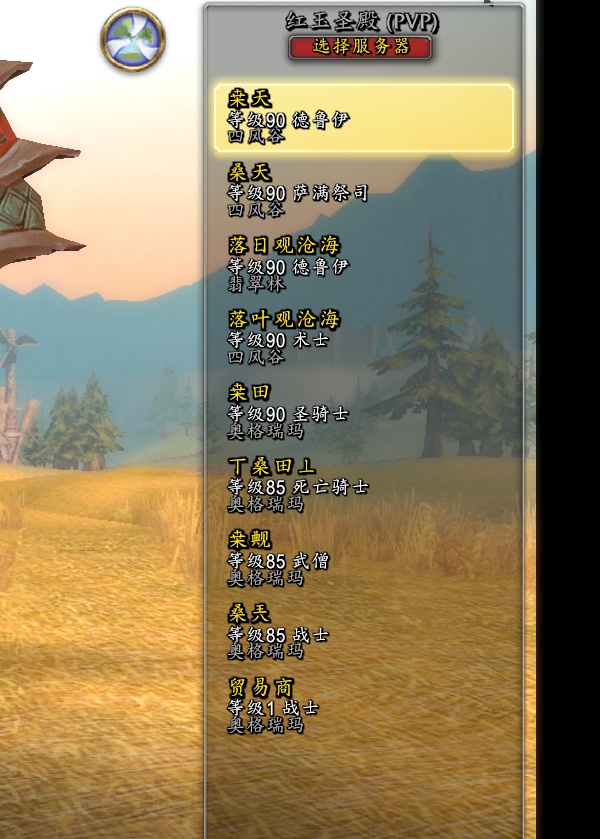 两个90德鲁伊、一个90级圣骑、一个90萨...